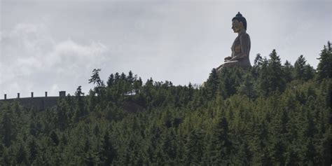 Buddha Statue In Tree Background Images, HD Pictures and Wallpaper For ...