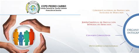 Inscripciones Abiertas Para Las Elecciones Del Consejo Consultivo De