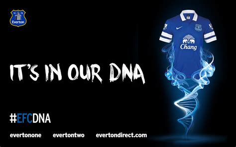 Everton Wallpapers - Wallpaper Cave