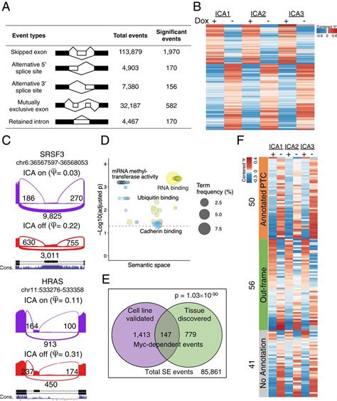 Pathway Guided Analysis Identifies Myc Dependent Alternative Pre Mrna