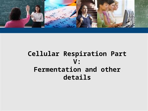 PPTX Cellular Respiration Part V Fermentation And Other Details