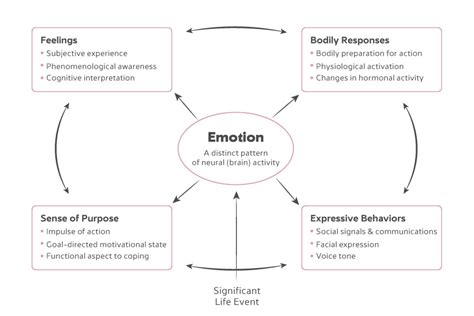 Emotion And Motivation Relationship And Similarities Improvement Savvy