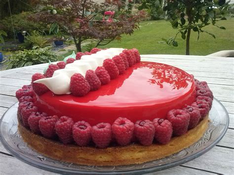 Le régal d annie Tarte entremet framboise insert crémeux citron