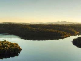 Plataforma Brasileira Permitir Diagn Stico Sobre Biodiversidade