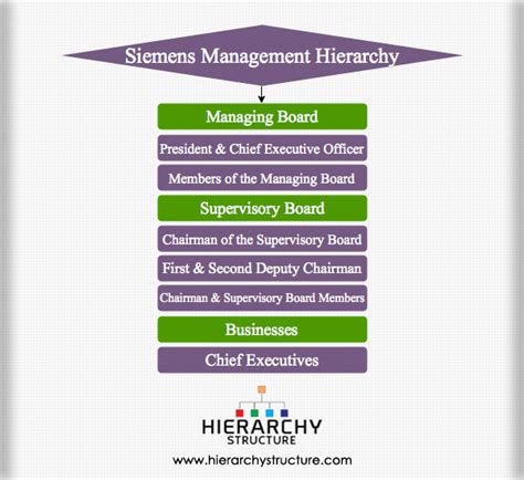 Siemens Management Hierarchy Management Of Siemens