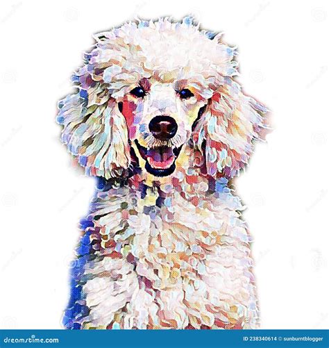 Abstract Poodle Design Stock Illustration Illustration Of Alive