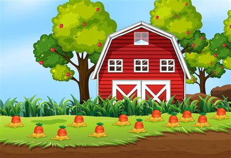 Premium Vector | Farm scene in nature with barn and carrot farm