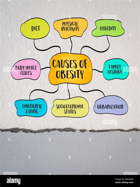 Lifestyle Genetic Environmental And Pychological Causes Of Obesity