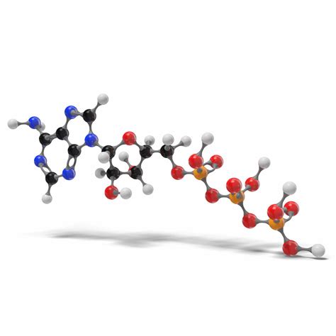 3d Adenosine Triphosphate Molecule C10h16n5o13p3 Turbosquid 1570701