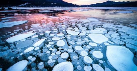 Ice Bubbles Emerge At The Surface Of Lake Nukabira, Japan