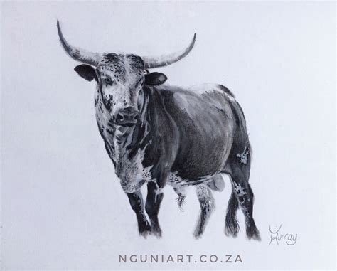 Hlulani Meaning Win Conquer In Tsonga Nguni Bull Charcoal