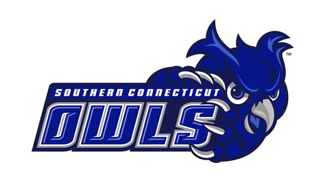 15. Southern Connecticut State University - mediafeed