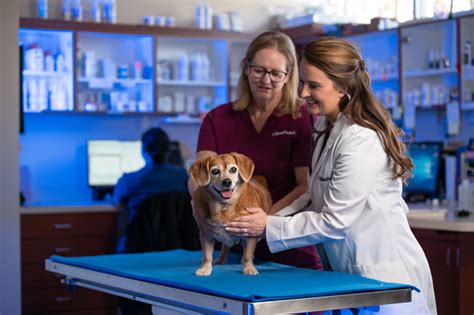 Your Pet Is Our Passion Veterinary Dermatology By Bluepearl Malvern Pa