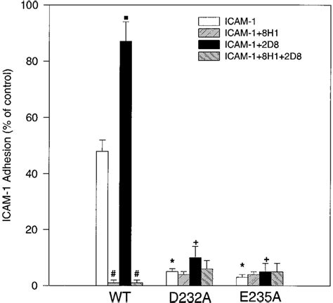 Adhesion Of Cho Cells Stably Transfected With Wildtype Or Mutant L To