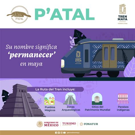 Tren Maya on Twitter SabíasQue el Tren Maya operará con distintos