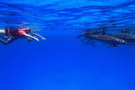 seaworld diving center  alles wat  moet weten voordat je gaat