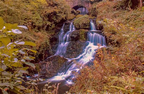 Rouken Glen Rouken Glen Park Fnock Marilyn Connor Flickr