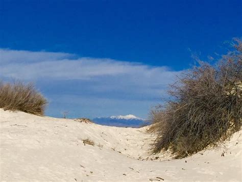 Snow In The Distance Picture Of White Sands National Monument