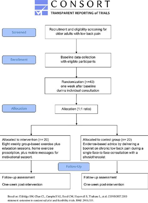 Study Flowchart According To Consort Recommendations Download