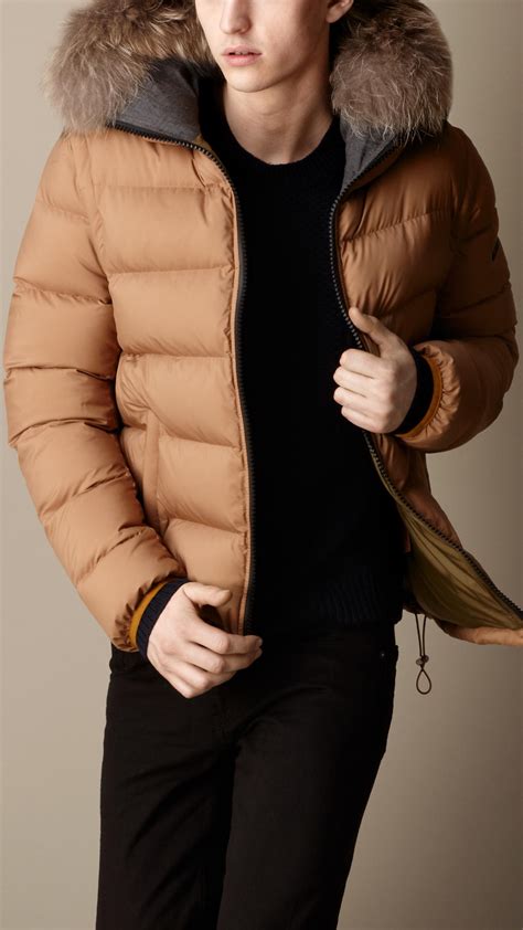 Lyst Burberry Fur Trim Downfilled Puffer Jacket In Brown For Men