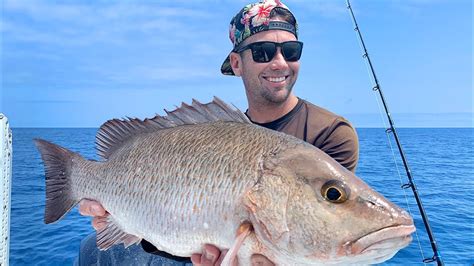 Giant Mangrove Snapper Catch And Cook Best Recipe Fishing In The