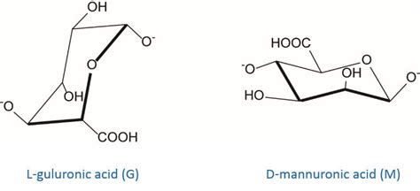 Chemical Structure Of Alginate Monomers L Guluronic Acid And Download Scientific Diagram