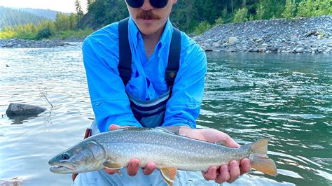 Sun Down Bull Trout Fly Fishing On The Sheep River Alberta Can Youtube