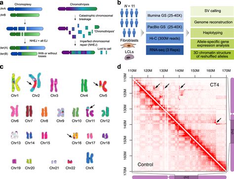 Complex Genomic Rearrangements Investigated In This Study A Forms Of