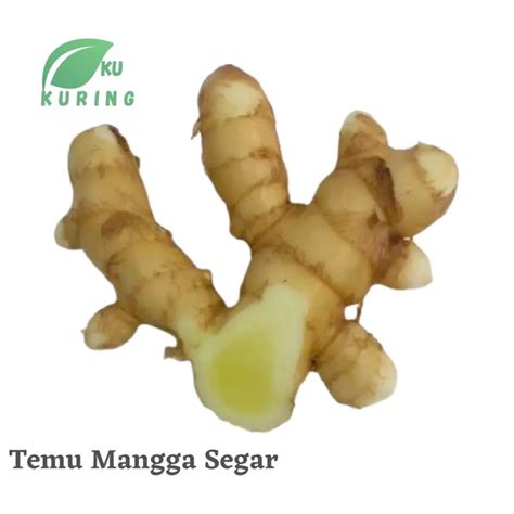 Jual Temu Mangga 1kg Kunyit Putih Mangga Curcuma Mangga Val Van Zip