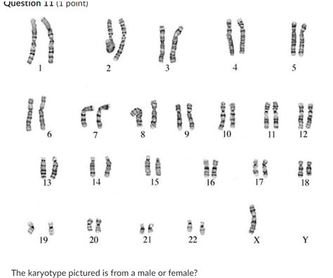 Solved A Male B Female 2 What Is Abnormal