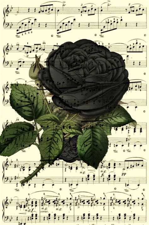 Vintage Black Roses 2 Printed On Upcycled Antique Music Pages Memento