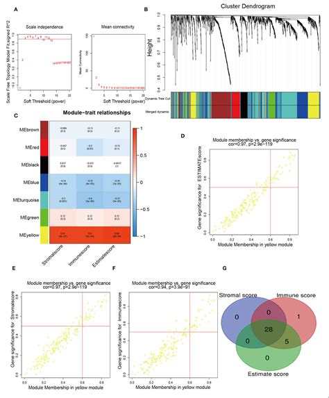 Figure 1 From Multiomics Data Analysis And Identification Of Immune