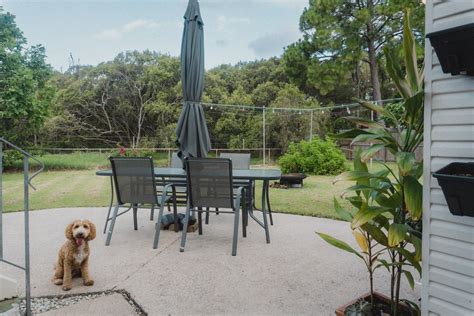 11 Of The Best Pet-Friendly Stays In Brisbane | URBAN LIST BRISBANE