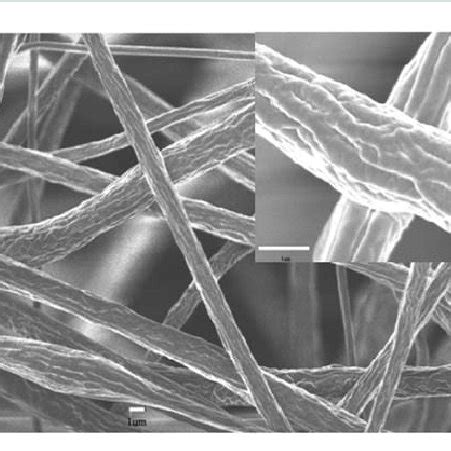 SEM Micrograph Of Circumferential Wrinkles On Electrospun Polystyrene