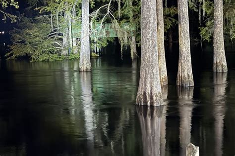 Withlacoochee River Flooding Reaches Historic Levels In Citrus County