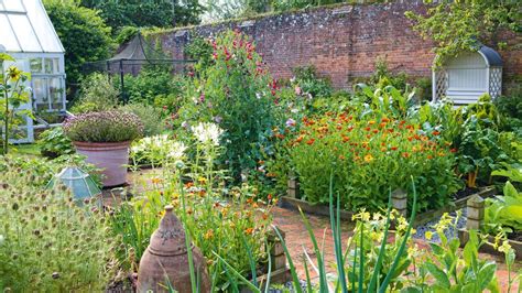 Kitchen Gardens 10 Steps To Grow Veg In Your Backyard Real Homes