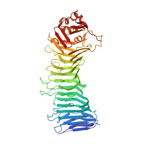 RCSB PDB 2QV3 Crystal Structure Of The Helicobacter Pylori