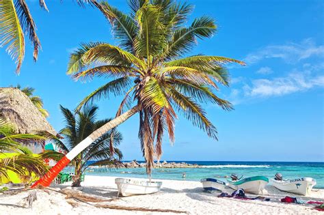 Playa Del Carmen Best Things To Do Beaches Ruins And Food