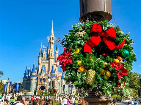 News The First Christmas Tree Has Arrived In Disney World Allearsnet