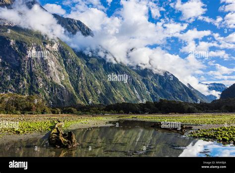 Milford sound New Zealand Milford sound Mitre peak fiordland national ...