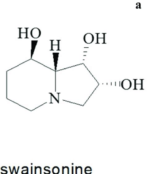 A Representative Structure Of Indolizidine Alkaloid Download