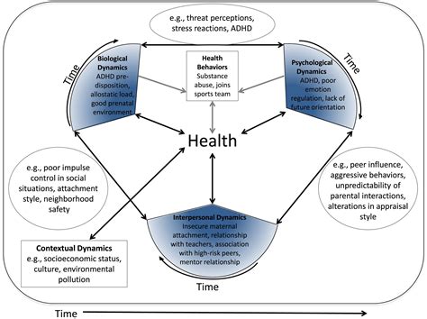 Rethinking The Biopsychosocial Model Of Health Understanding Health As