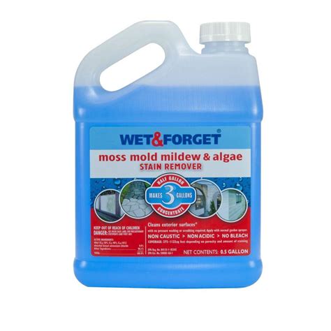 Wet And Forget 05 Gal Moss Mold Mildew And Algae Stain Remover 800003 The Home Depot