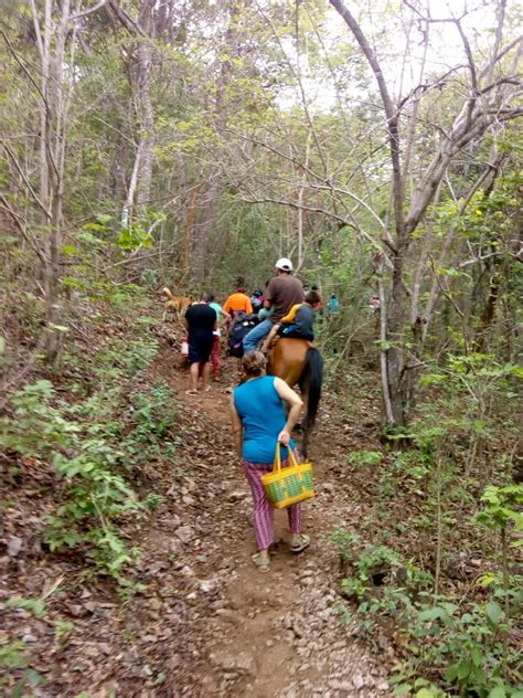 Desplazamiento Forzado En Frontera Comalapa Y Chicomuselo Noticias