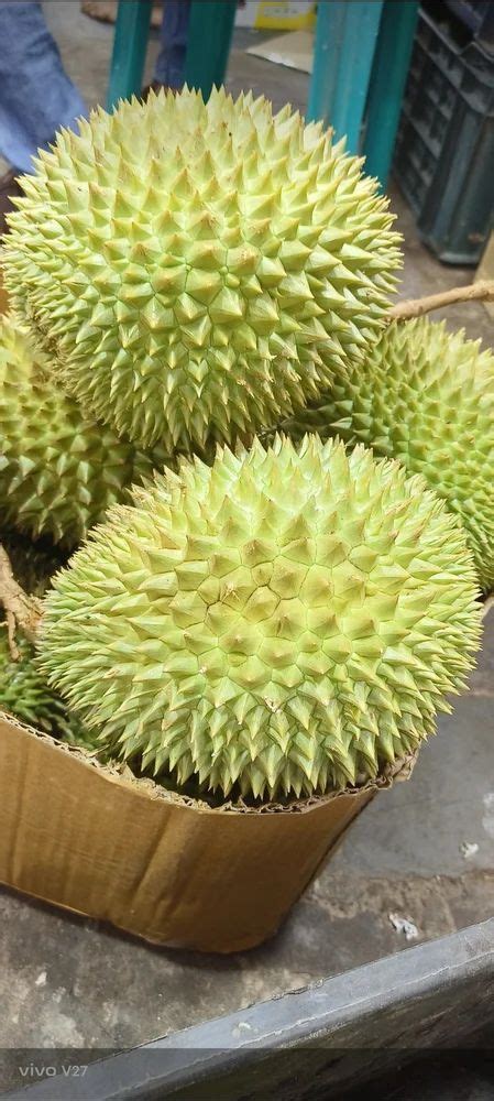 A Grade Durian Fruit Packaging Type Carton Packaging Size 5 Kg At