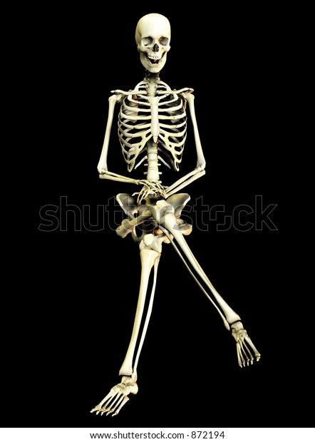 This Skeleton Sitting Pose Stock Illustration 872194 | Shutterstock