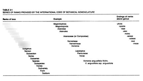 Plant Bio Exam 3 Taxonomy Diagram Quizlet