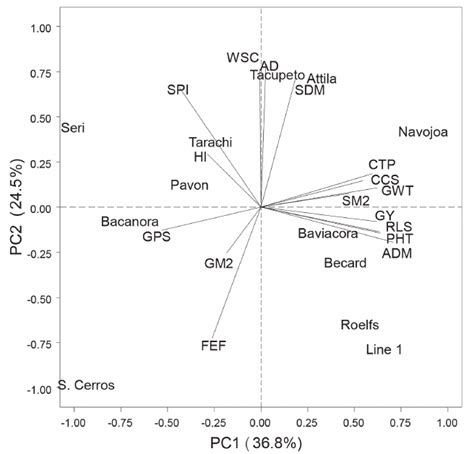 Biplot Of Grain Yield Yield Components And Physiological Traits For