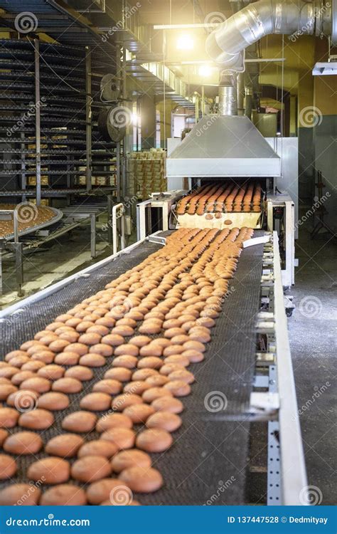 Bakery Production Line Or With Fresh Sweet Cookies On Conveyor Belt