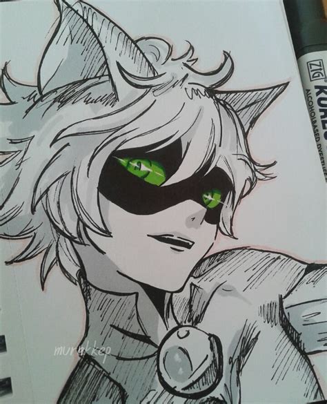 Ladybug Cat Noir Drawing